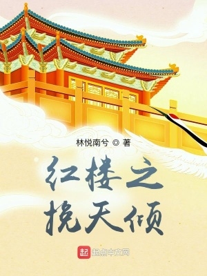 红楼之挽天倾最新章节目录